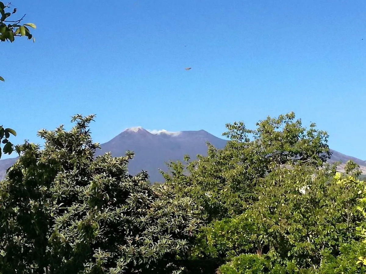 Petralava Etna B&B Giarre 3*,